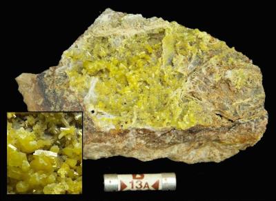 Pyromorphite, Driggeth. Bill Bagley Rocks and Minerals