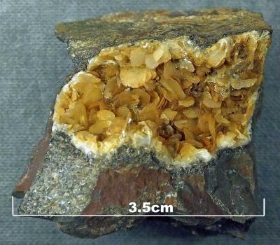Siderite, Marine colliery. Bill Bagley Rocks and Minerals
