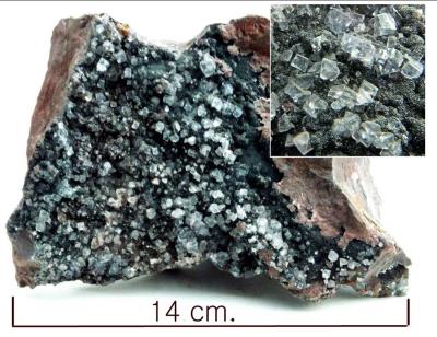 Specular Hematite with Fluorite, Egremont. Bill Bagley Rocks and Minerals