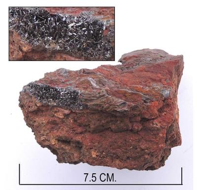 Goethite, Ton Mawr. Bill Bagley Rocks and Minerals