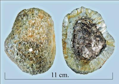 Anthophylite, Czech republic. Bill Bagley Rocks and Minerals