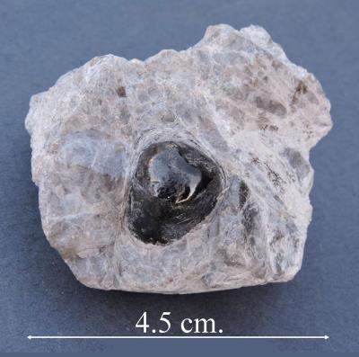 Obsidian (Apache tear), Superior, Colorado. Bill Bagley Rocks and Minerals
