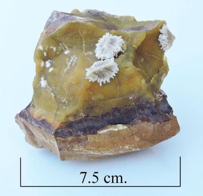 Baryte on calcite. Isle of Sheppey. Bill Bagley Rocks and Minerals