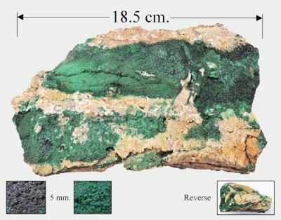 Brochantite, Australia. Bill Bagley Rocks and Minerals