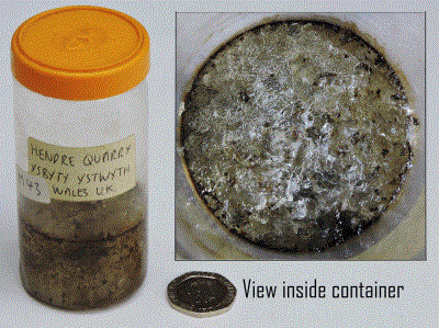 Calcite ( precipitated ), Ystrad Meurig. Bill Bagley Rocks and Minerals