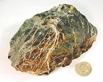 Quartz, Net veining, Bryn y Rafr. (CWO) Bill Bagley Rocks and Minerals