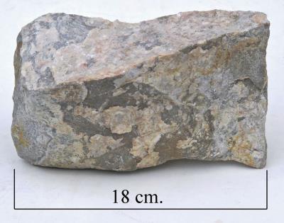 Wrekin quartzite, Ercall quarry. Bill Bagley Rocks and Minerals