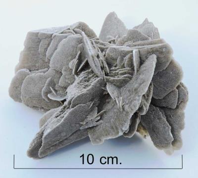 Selenite ( Desert rose var. ). Chihuahua. Bill Bagley Rocks and Minerals