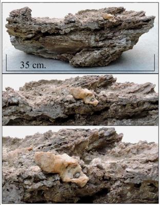 Mineral rich sedimentary rock-1. Bill Bagley Rocks and Minerals