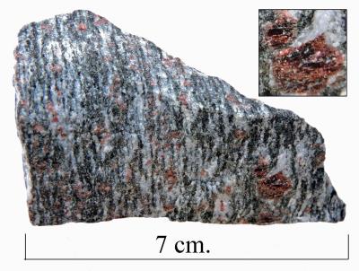 Garnet-pyroxene-gneiss. Bill Bagley Rocks and Minerals
