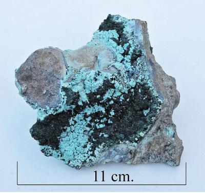 Malachite with Chrysocolla. Bill Bagley Rocks and Minerals