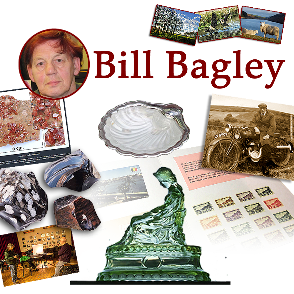 Bill Bagley Minerals
